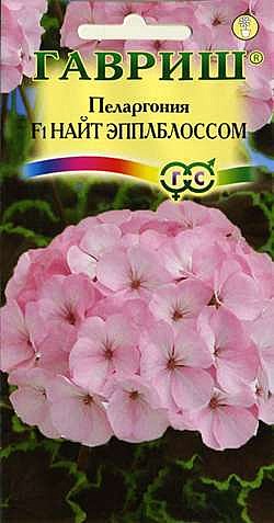 Ц Пеларгония Найт Эплблоссом  Гавриш