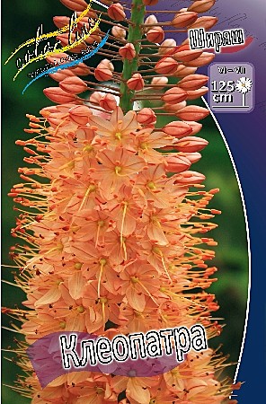 Эремурус (ширяш)