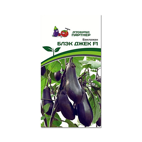 Б Блэк Джек Партнер