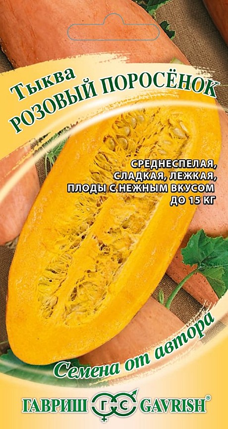 Тыква Розовый поросёнок Гавриш