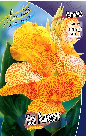 Изображение товара