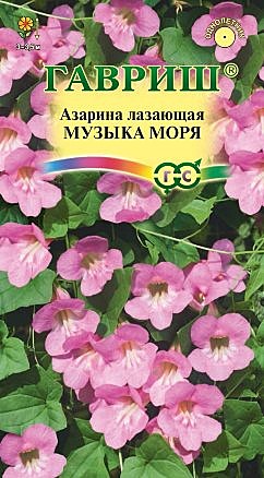 Ц Азарина Музыка моря Гавриш