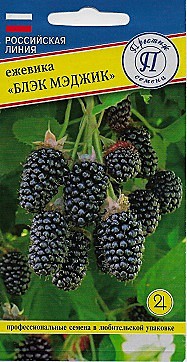 Ф Ежевика Блэк Мэджик Престиж