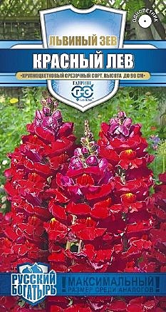 Ц Львиный зев Красный лев Гавриш