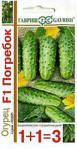 О Погребок 1+1 Гавриш