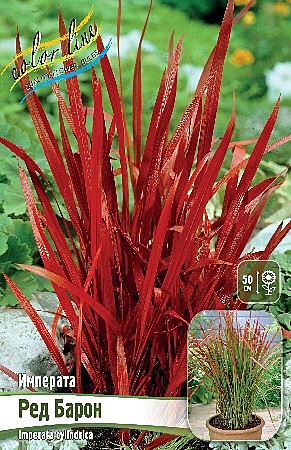 9760 Императа Ред Барон 2шт/1шт