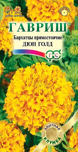 Ц Барх Дюн Голд Гавриш