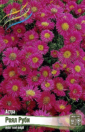 2245 Астра Роял Руби 1шт