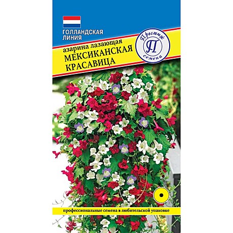 Ц Азарина Мексиканская красавица Престиж
