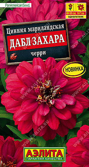 Ц Цинния Дабл Захара черри Аэлита