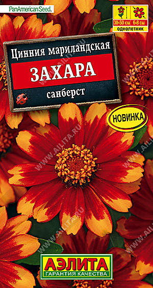 Ц Цинния Захара санберст Аэлита