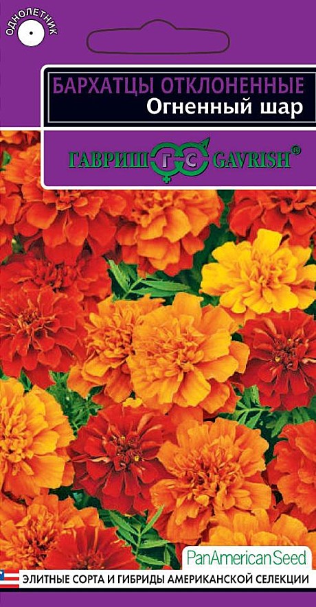 Ц Барх Огненный шар хамелеон Гавриш