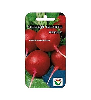 Редис, дайкон, редька, репа