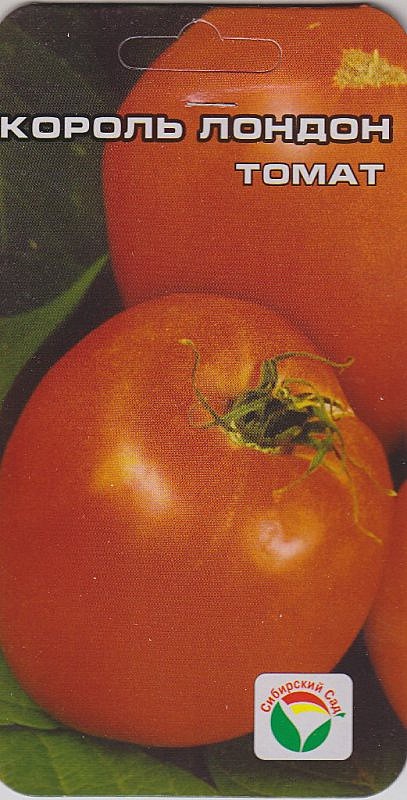 Т Король Лондон  Сиб сад