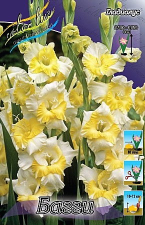 4606 Глад Багги 10шт/1шт