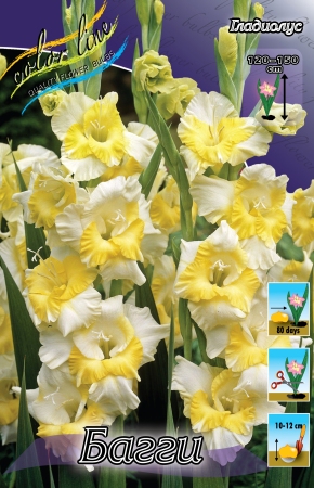 Изображение товара