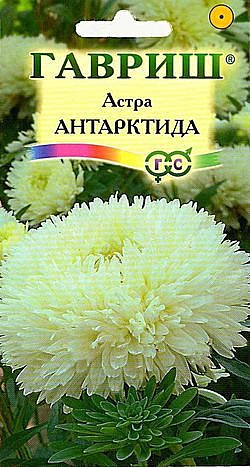 Ц А Антарктида Гавриш