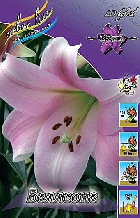 1468 Лилия Беллсонг ЛО 5шт/1шт