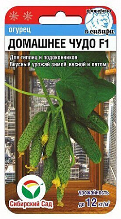 О Домашнее чудо Сиб Сад