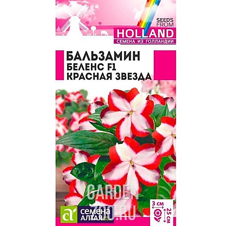 Ц Бальзамин Беленс Красная звезда Семена Алтая