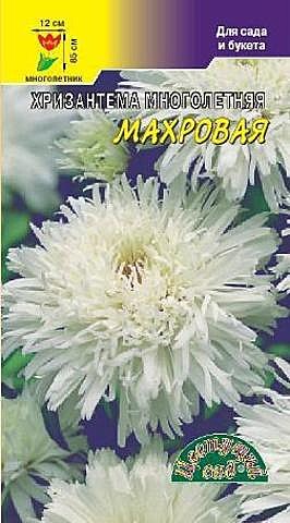 Ц Хриз Махровая белая многолетняя ЦветСад