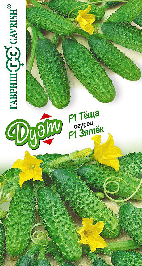 О Зятек + Теща Дуэт Гавриш 