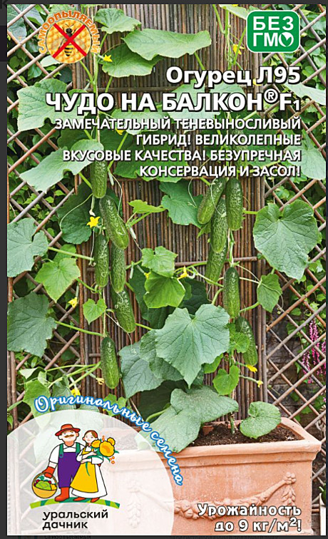 О Чудо на балкон корнишон УД