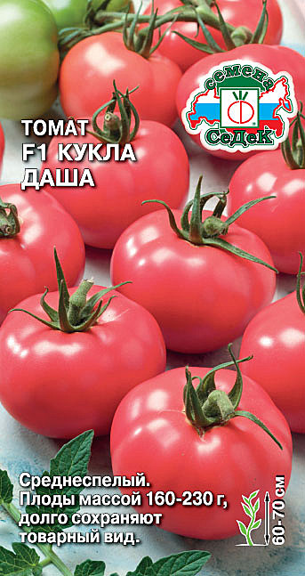 Т Кукла Даша Седек