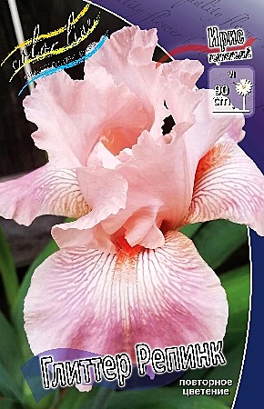2273 Ирис Глиттер Репинк германский 1шт