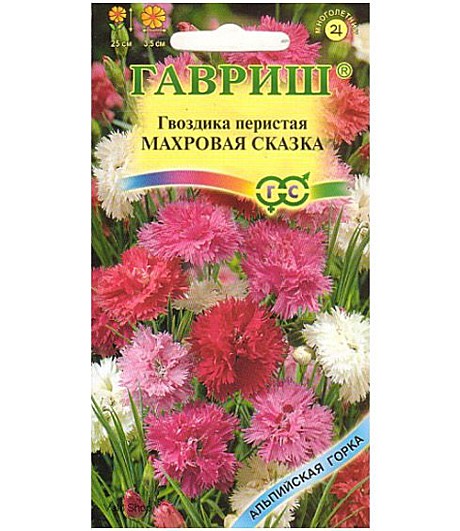 Ц Гвозд Махровая Сказка перистая см Гавриш