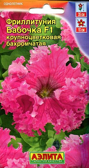 Ц Фриллитуния Бабочка бахромчатая Аэлита