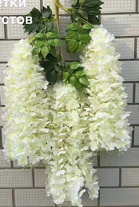 Глициния искус. белая 1шт