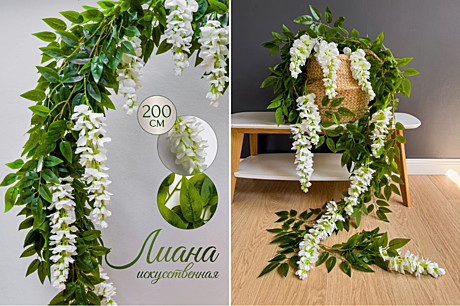 Лиана глициния белая искус. 1шт