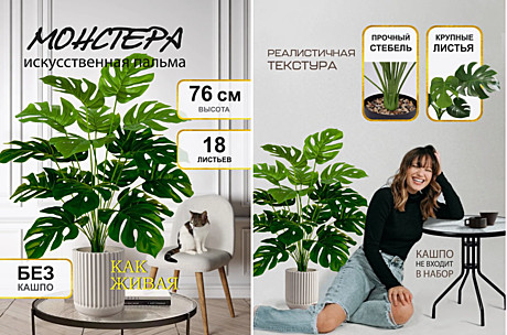 Монстера искусств.