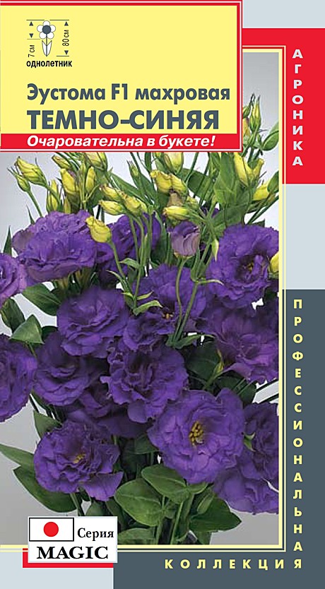 Ц Эустома Темно-синяя махровая Плазм