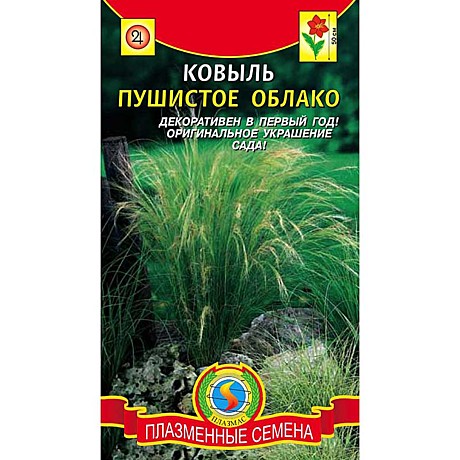 Ц Ковыль Пушистое облако Плазма