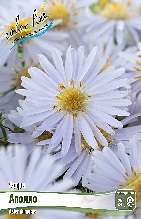 2445 Астра Аполло 1шт