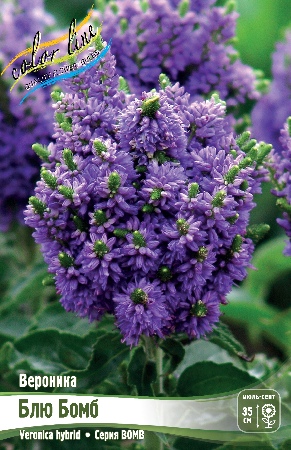 Изображение товара