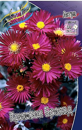 7622 Астра Кримзон Брокад  1шт