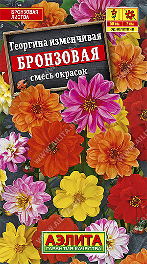 Ц Георгина Бронзовая  смесь Аэлита