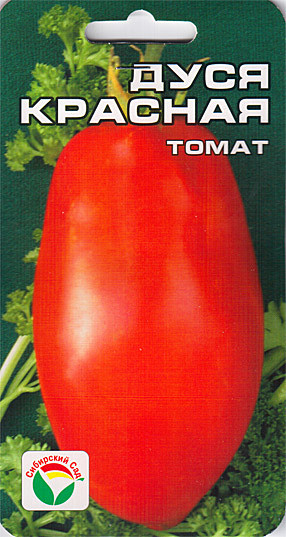 Т Дуся Красная  Сиб сад