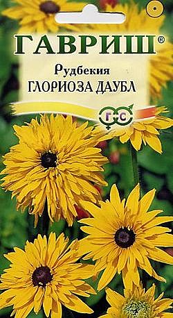 Ц Рудбекия Глориоза Даубл Гавриш