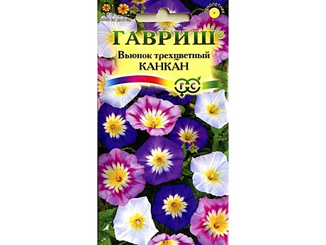 Ц Вьюнок Трехцветный Канкан смесь  Гавриш