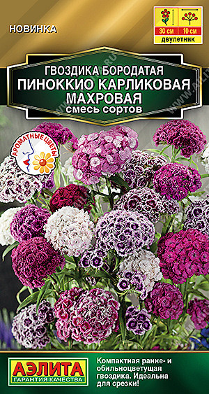 Ц Гвозд Пиноккио карликовая махровая смесь Аэлита