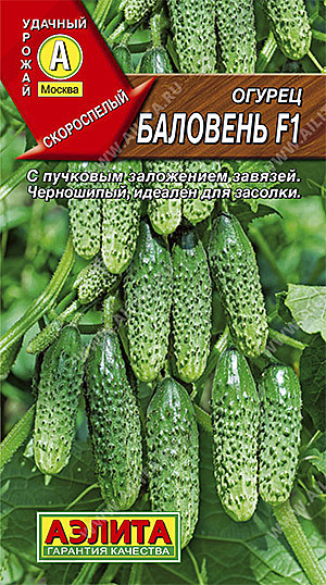 О Баловень Аэлита