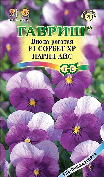 Ц Виола Сорбет Парпл Айс рогатая Гавриш