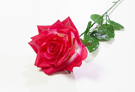 Роза Бетси крупная искуств.