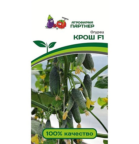 О Крош Партнер