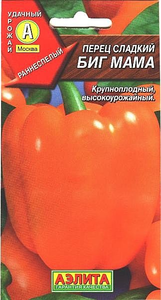 П Биг мама Аэлита