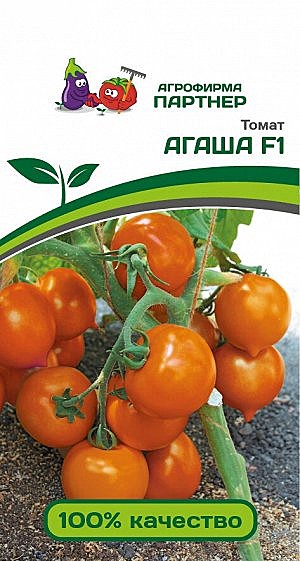 Т Агаша Партнер